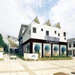 YOUNG HOTEL